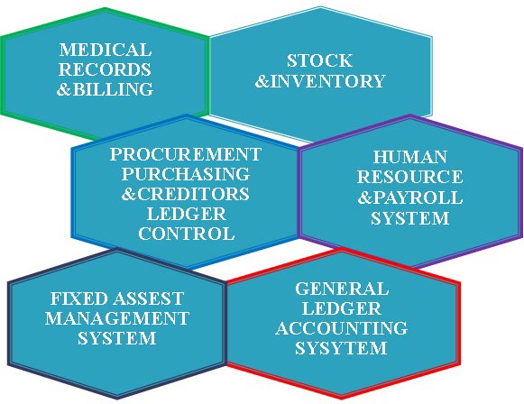 A-Ilupeju-ENT-Hospital-_-The-Medical-Records,-Financial-and-Human-Resource-Operations-Organogram